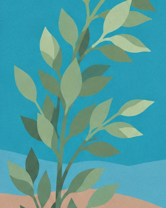 A branch of sage green leaves standing out against a turquoise blue sky