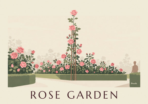 Botanical engraving climbing rose poster