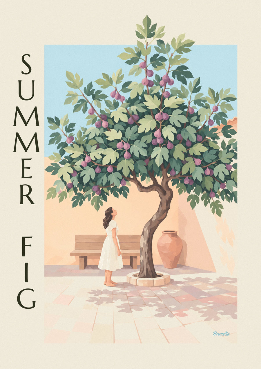Affiche figuier chargé de figues violettes dans une cour en pierre