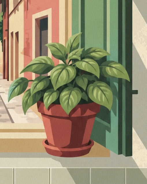 A terracotta pot of basil on the window ledge in front of the green shutter opening onto the alley
