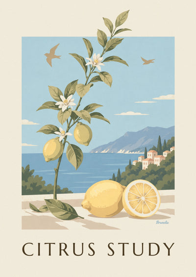 Poster botanische plaat van citroenen, vruchten, bladeren en bloemen: de hele poster