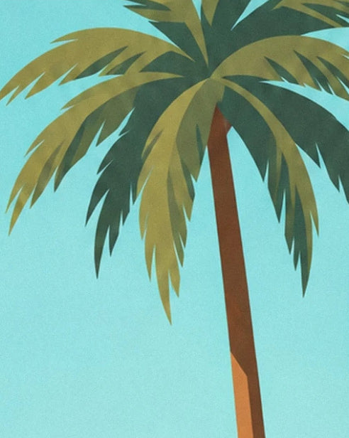 A palm tree with a brown trunk and long green fronds against a turquoise background