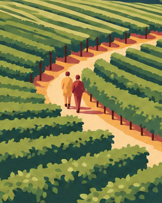 A couple walking along the sandy path between rows of green vines