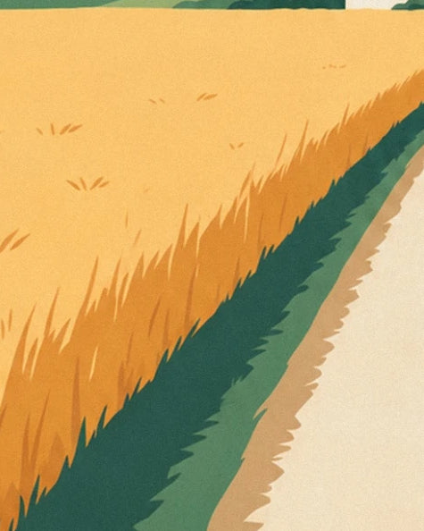 Le champ doré bordé d’herbe verte, le long de la route de campagne