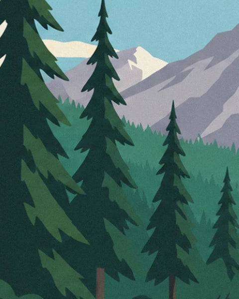 The tall dark green conifers in front of the snow-covered mountains of île de Vancouver