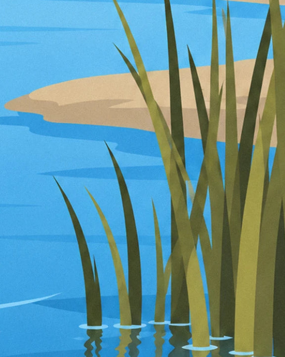 The tall green reeds reflected in the blue water, near a sandbank