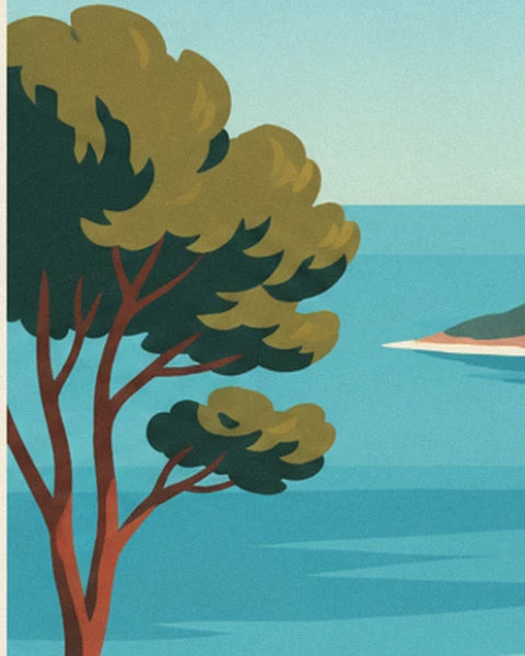 An umbrella pine with red branches silhouetted against the turquoise sea