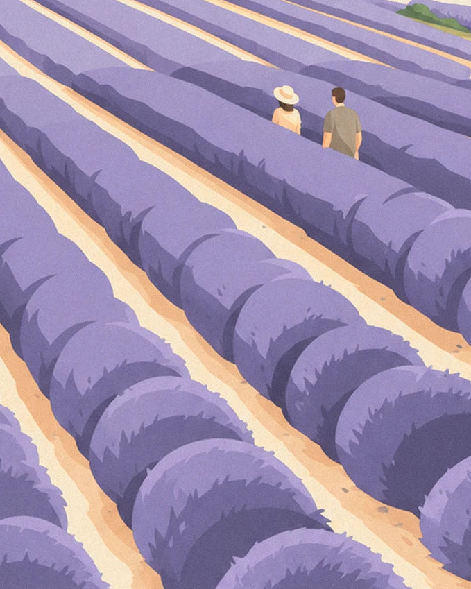 The 2 walkers, one wearing a pale hat, among the rows of lavender