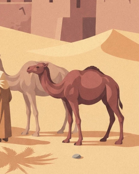 A brown dromedary in front of a pale dromedary at the foot of the dunes and ochre walls