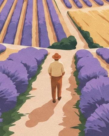 A walker in a brown hat on a path lined with purple lavender