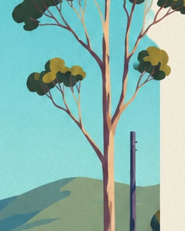 The slender trunks with green and ochre foliage in front of a hill and the turquoise sky