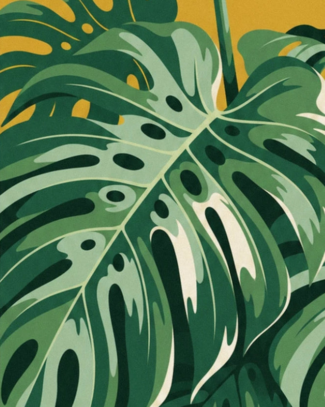 A light green monstera leaf with holes against dark foliage