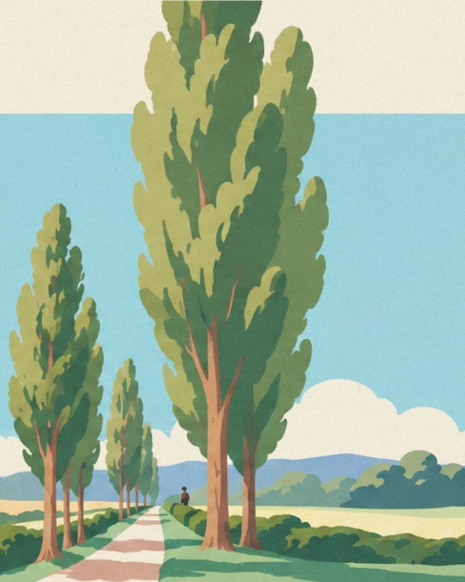 Hoge populieren langs een landweg tussen groene velden