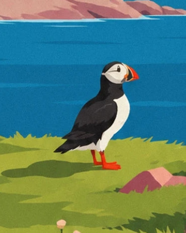 Un macareux au bec orange et aux pattes rouges, sur l’herbe face à la mer bleue