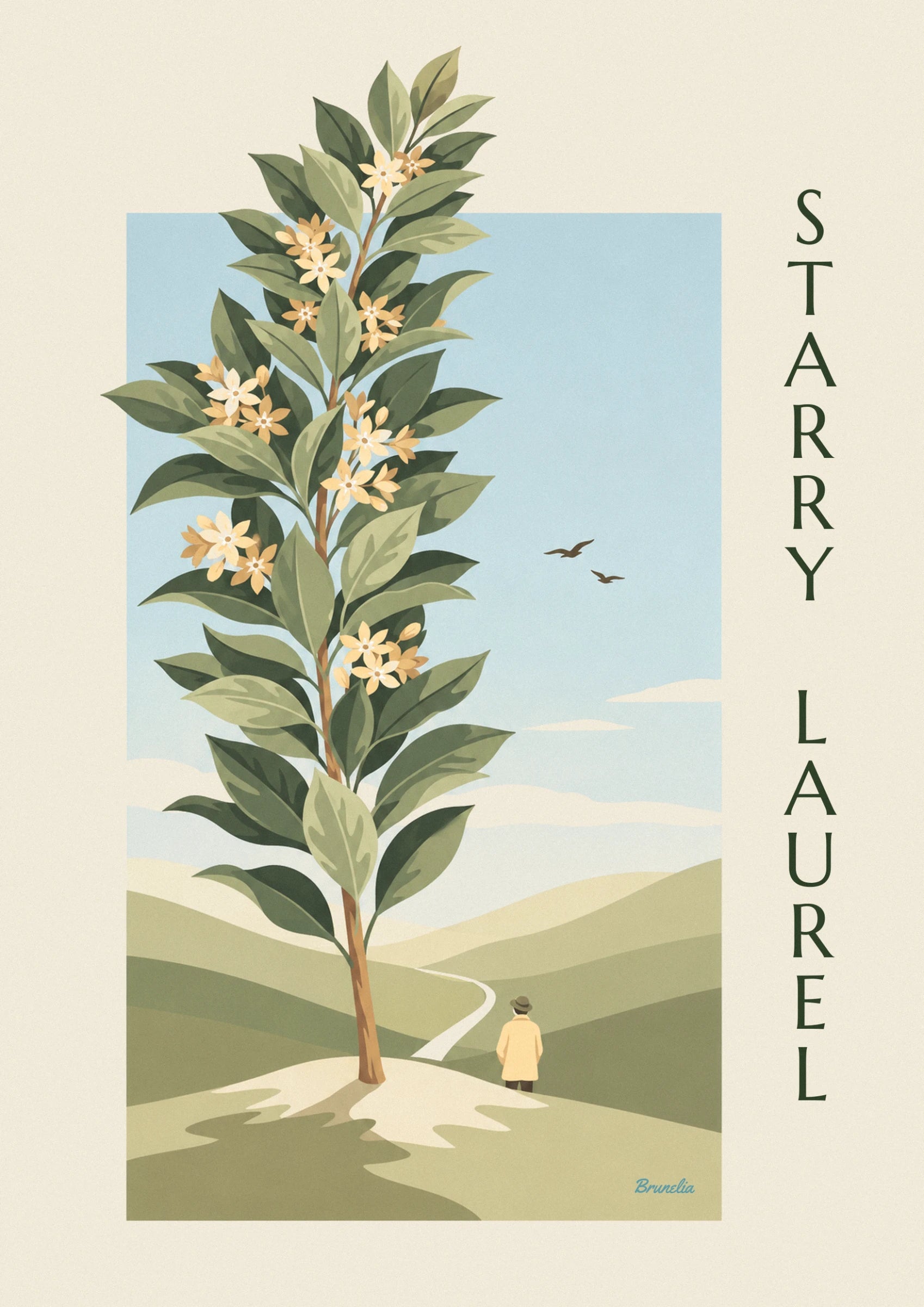 De bleekgele en crèmekleurige sterbloemen aan de lauriertakken, tussen grote groene bladeren