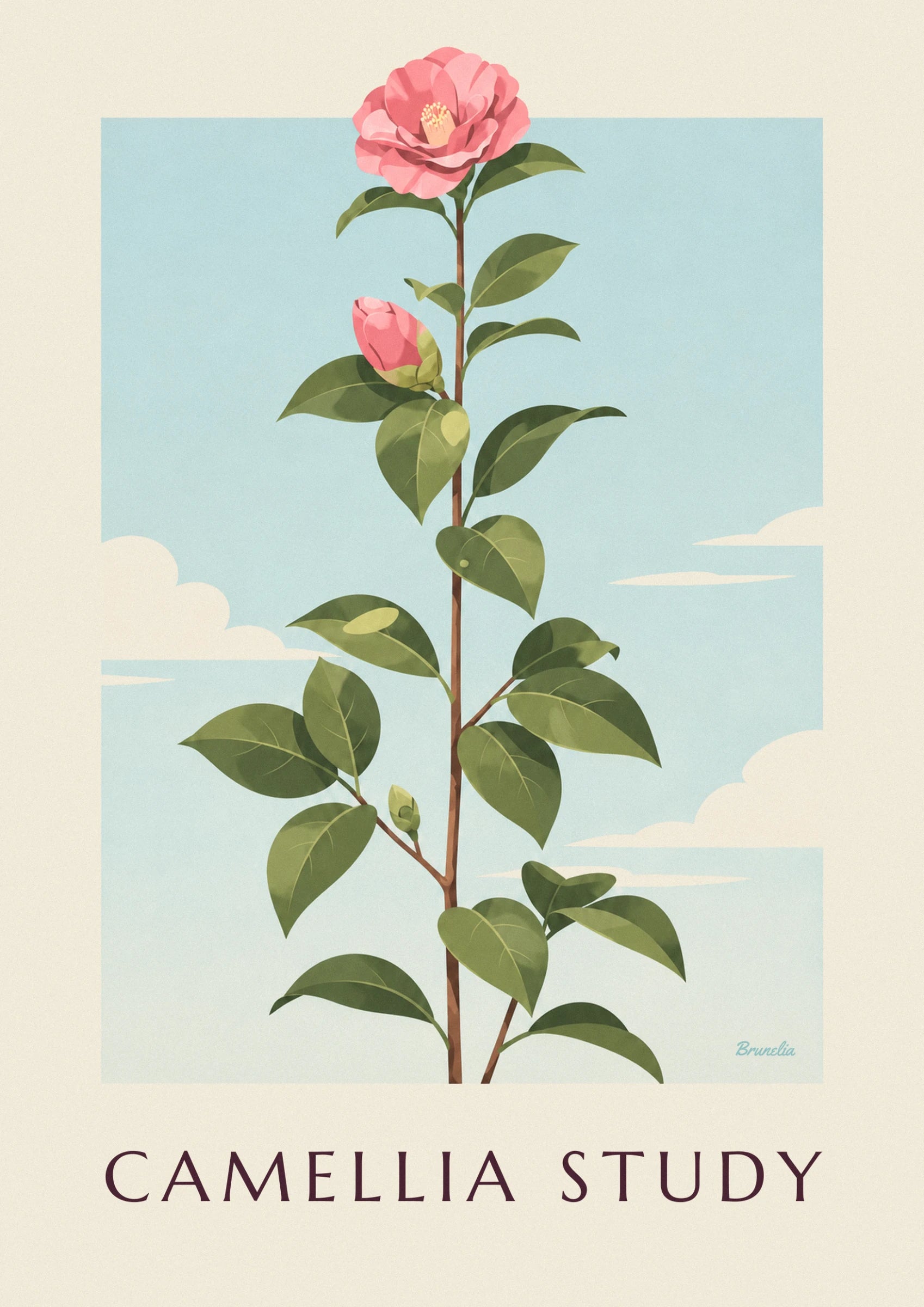 Une grande fleur de camélia rose aux étamines jaunes, sur sa tige, avec un bouton en bas