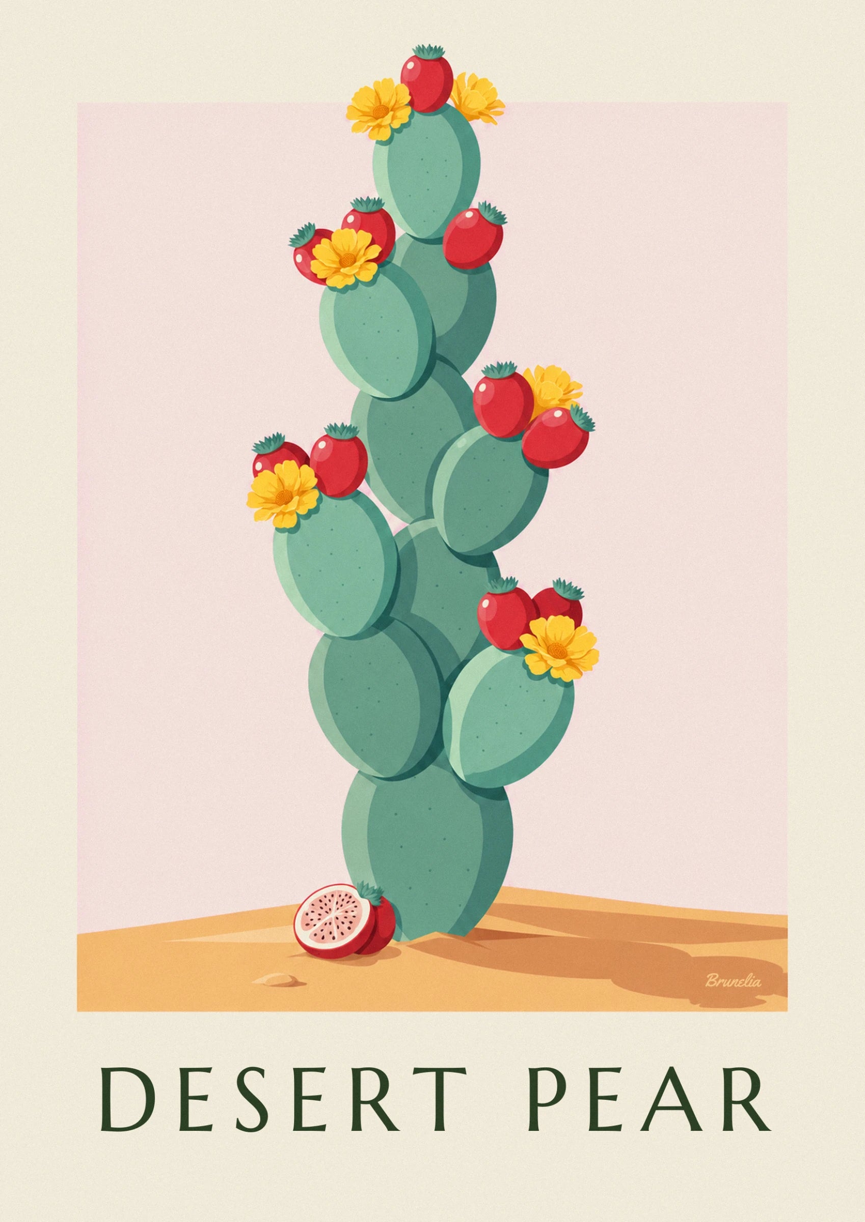 Les raquettes vert d'eau, leurs fruits rouges et une fleur jaune épanouie