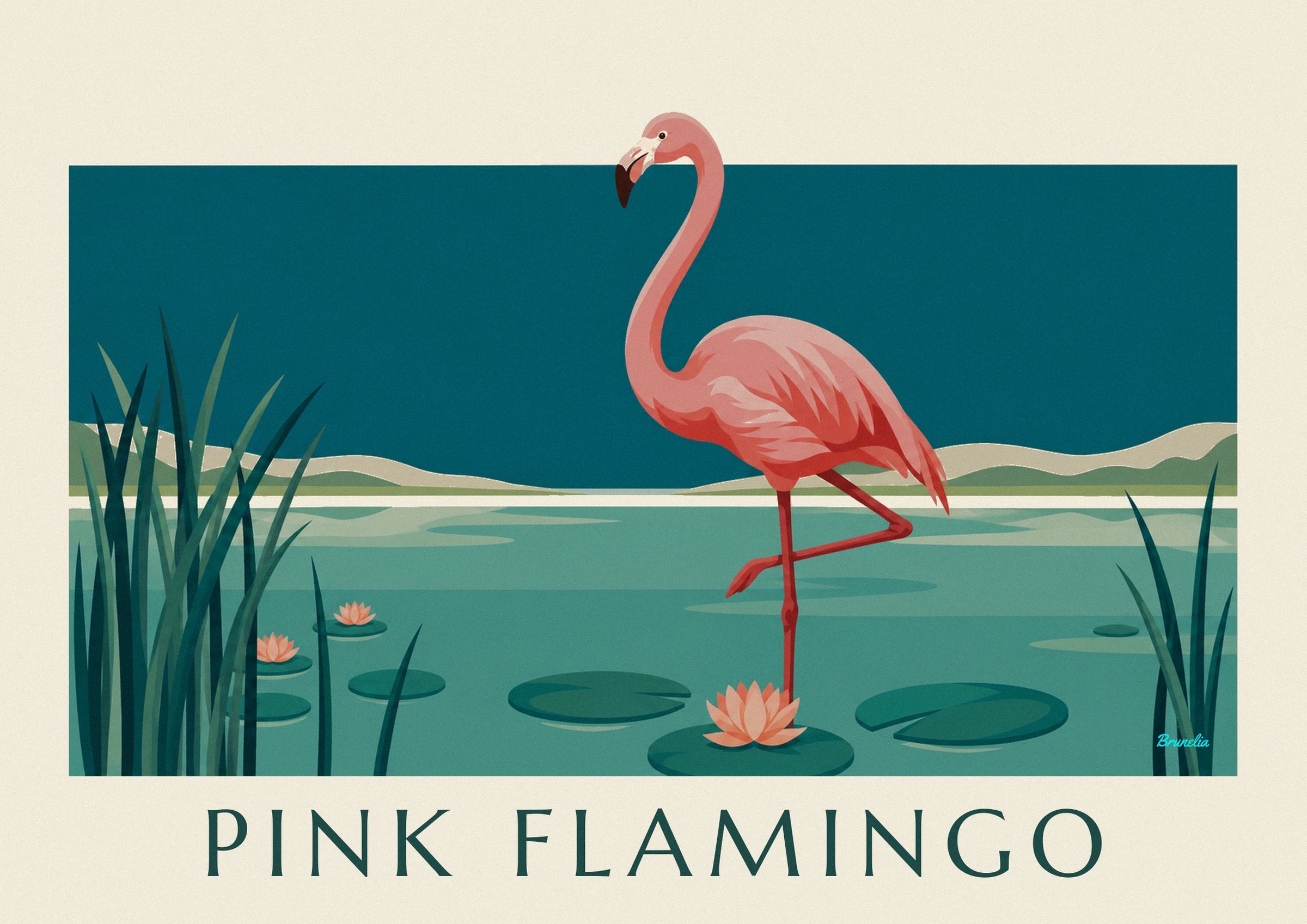 The pink flamingo standing on one leg, with coral plumage and a long curved neck, in turquoise water