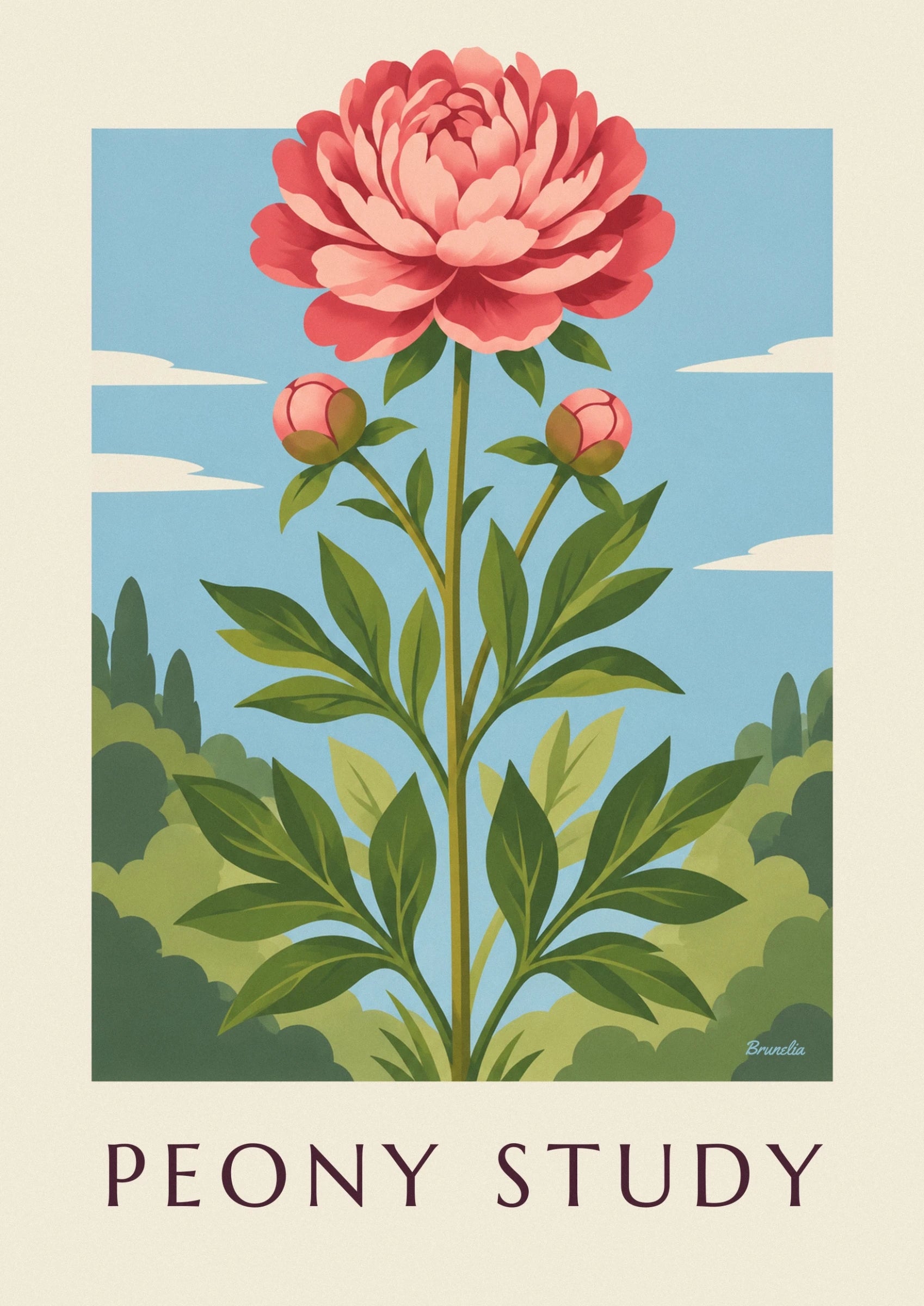 Une pivoine rose épanouie et ses 2 boutons sur des tiges au feuillage vert