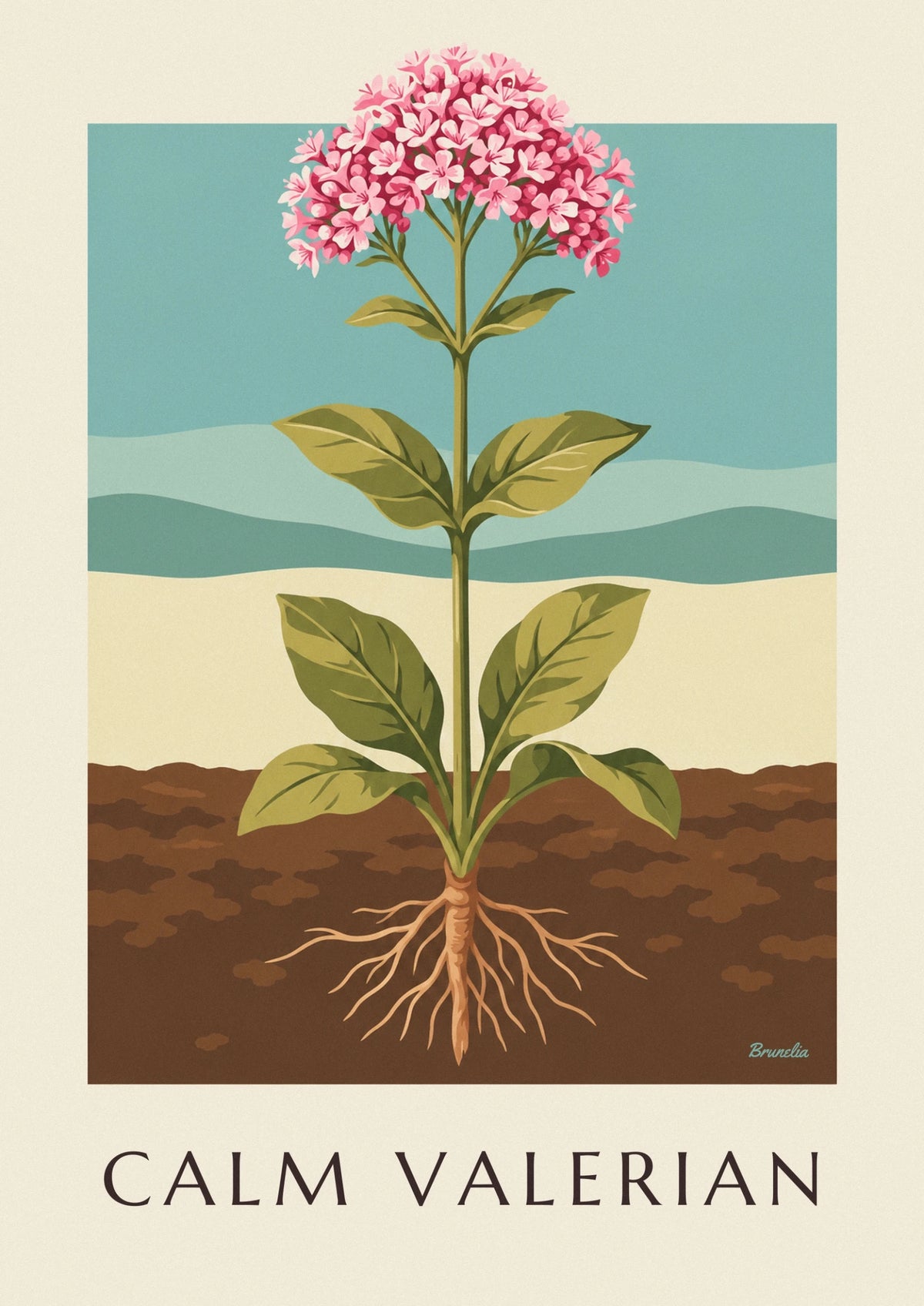 Valerian medicinal plant poster
