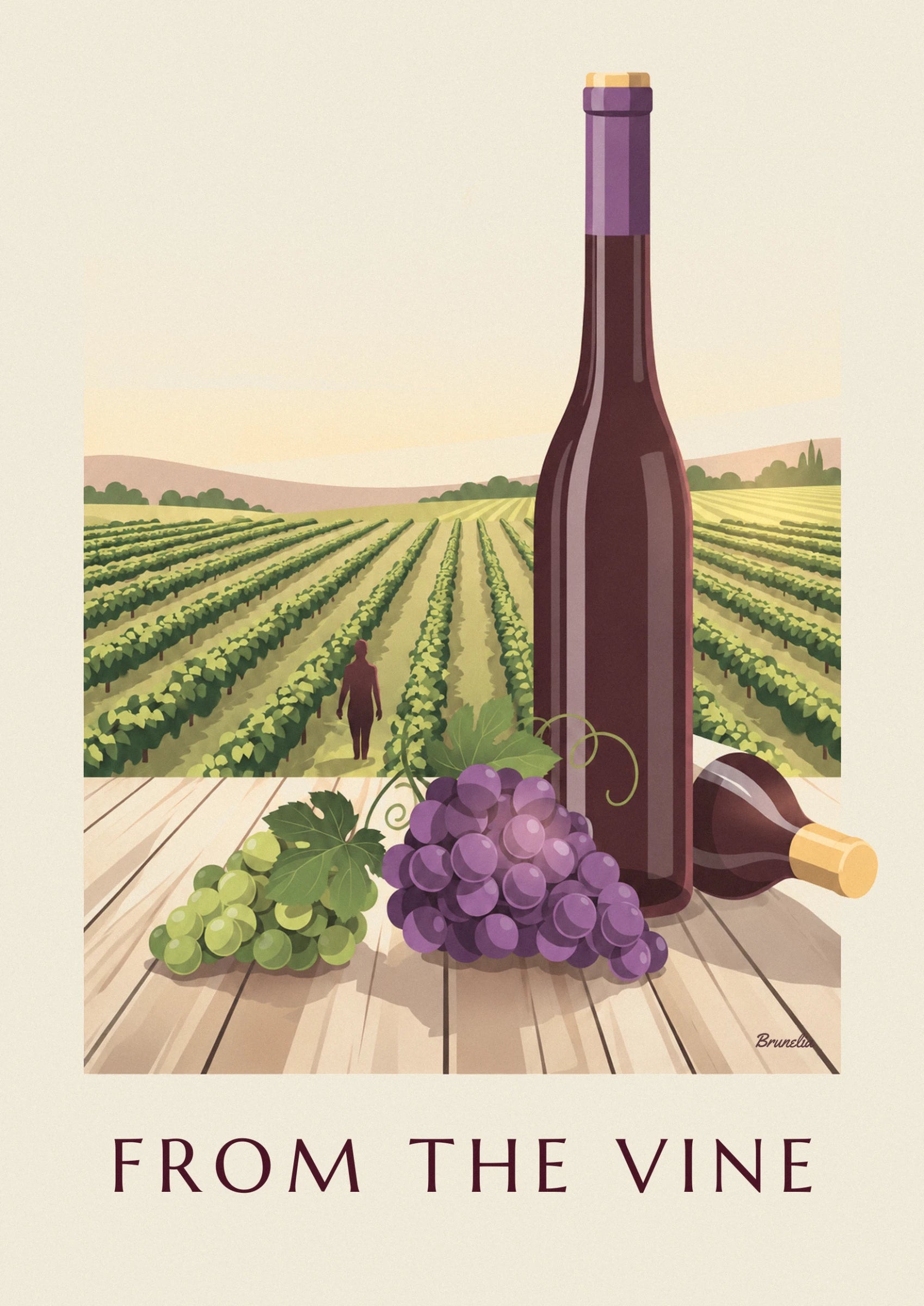 Grappe de raisin noir devant une bouteille de vin rouge, au bord des vignes