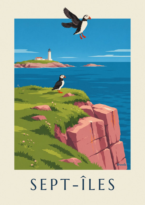 Poster papegaaiduikers op de kliffen van Sept-Îles